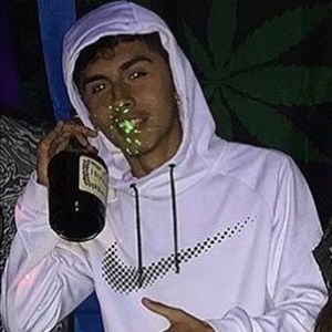 Meet your Posher, Damian